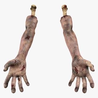 3D Bloody Zombie Arms model