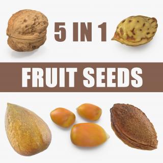 Fruit Seeds Collection 3D