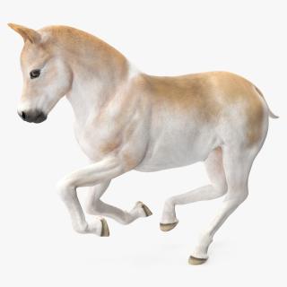 3D Galloping Shetland Pony model