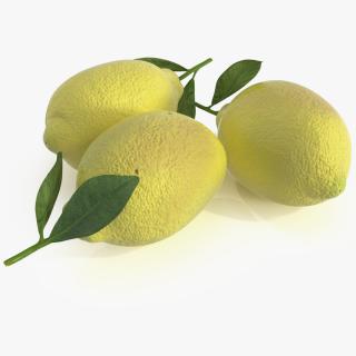 3D model Realistic Lemon with Leaf