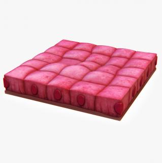 Cuboidal Epithelium 3D model