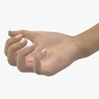 3D model Caucasian Female Hand Short Nails Rigged