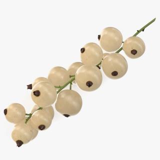 White Currant Berry Cluster 3D