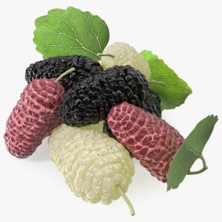 Pile of Mulberry Fruit 3D