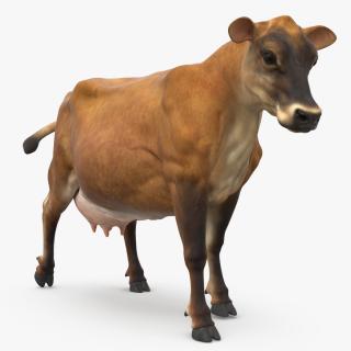 3D Jersey Dairy Cow Rigged model