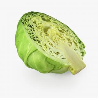 Cabbage Half 3D