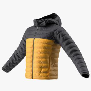 3D Yellow Jacket model