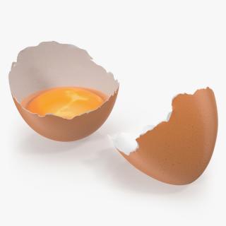 Cracked Egg Shell 3D