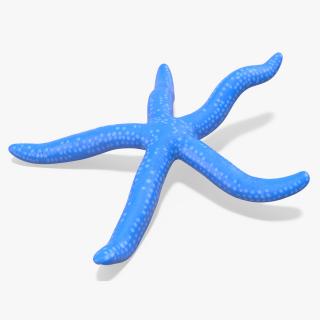 Sea Star Blue Crawling Pose 3D