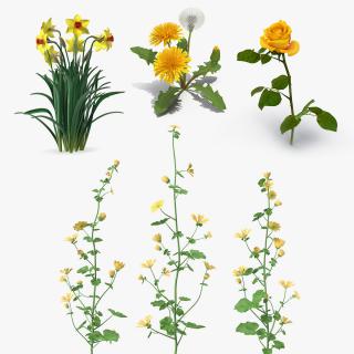 3D Yellow Flowering Plants Collection 2