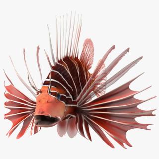 Clearfin Lionfish 3D