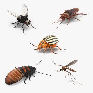 3D model Rigged Insect Pests Collection