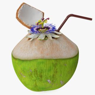 Tropical Coconut Drink with Passion Flower 3D