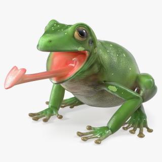 Australian Green Tree Frog With Extended Tongue 3D