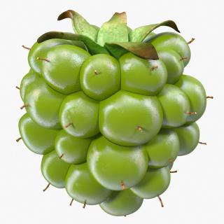 3D Unripe Green Blackberry model