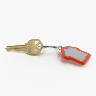 3D Bronse Home Key With House Figure model