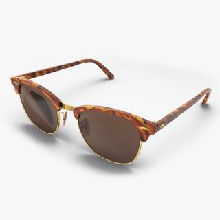 Tortoise Sunglasses 3D model