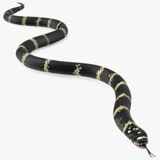 Eastern Kingsnake 3D