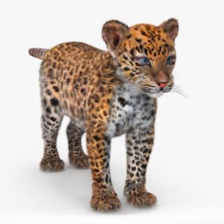 Leopard Cub Standing Pose with Fur 3D model