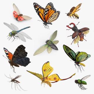 Flying Insects Collection 6 3D