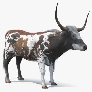 Texas Longhorn Mottled Brown Fur 3D