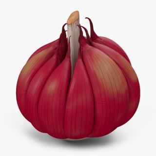 3D Head of Garlic Red model