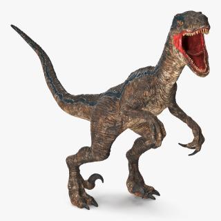 Velociraptor Rigged 3D model