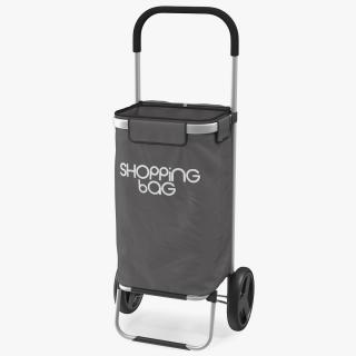 Shopping Trolley Bag with Wheels 3D