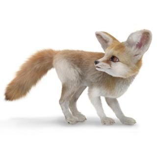 3D Desert Fox Fennec Fur Rigged model