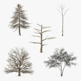 3D model Winter Trees Collection 6