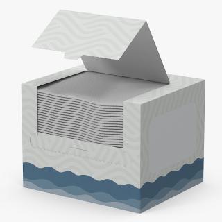 3D Mockup Clean Paper Towel Box model