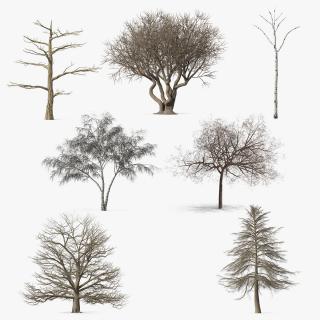 3D model Winter Trees Collection 8