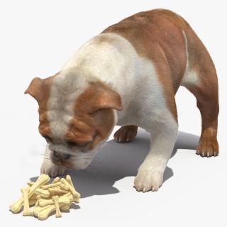 Bulldog Sniffs a Pile of Bones Fur 3D model