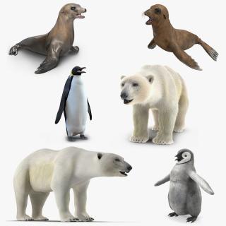 3D model Arctic Animals Collection