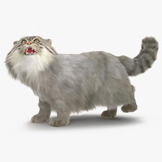 3D Pallas Cat with Fur Animated model