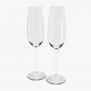 3D Champagne Flute Empty