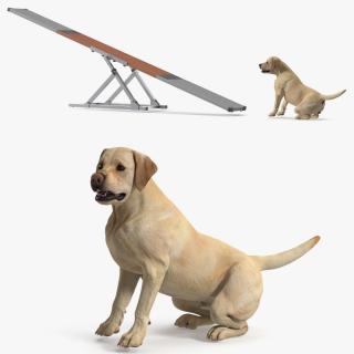 3D Dog Agility Teeter Totter and Labrador model