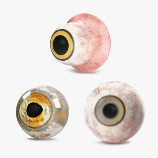 Realistic Animal Eyes Collection 2 3D model