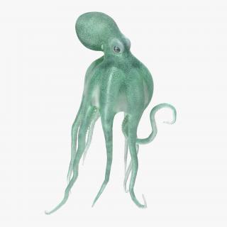 3D model Blue Octopus Swiming Pose