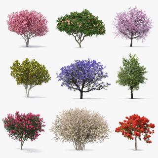 Flowering Bushes and Trees Collection 6 3D model