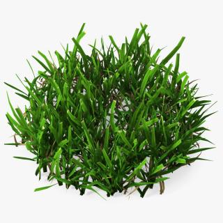 3D Grass Patch