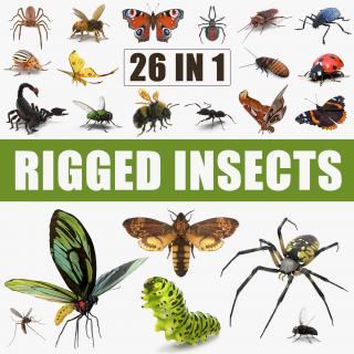 Insects Big Rigged 3D Models Collection 3D model