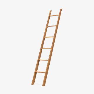 3D Wooden Library Ladder