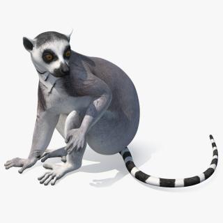 Lemur Rigged 3D