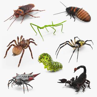 3D Rigged Creeping Insects Collection 2