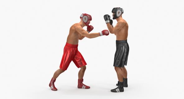 Two Boxers Fighting 3D model