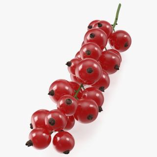 Red Currant on Stem 3D model