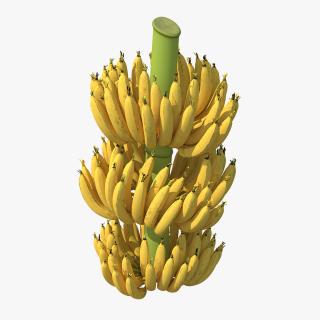 3D Ripe Yellow Banana Cluster