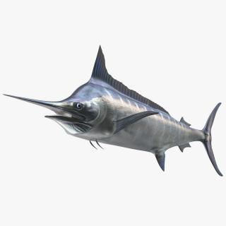 Striped Marlin Fish 3D model