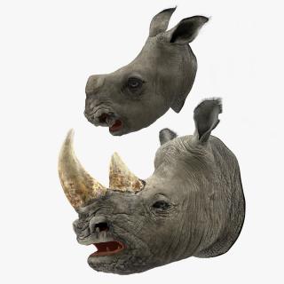 Rhinos Heads with Fur Collection 3D